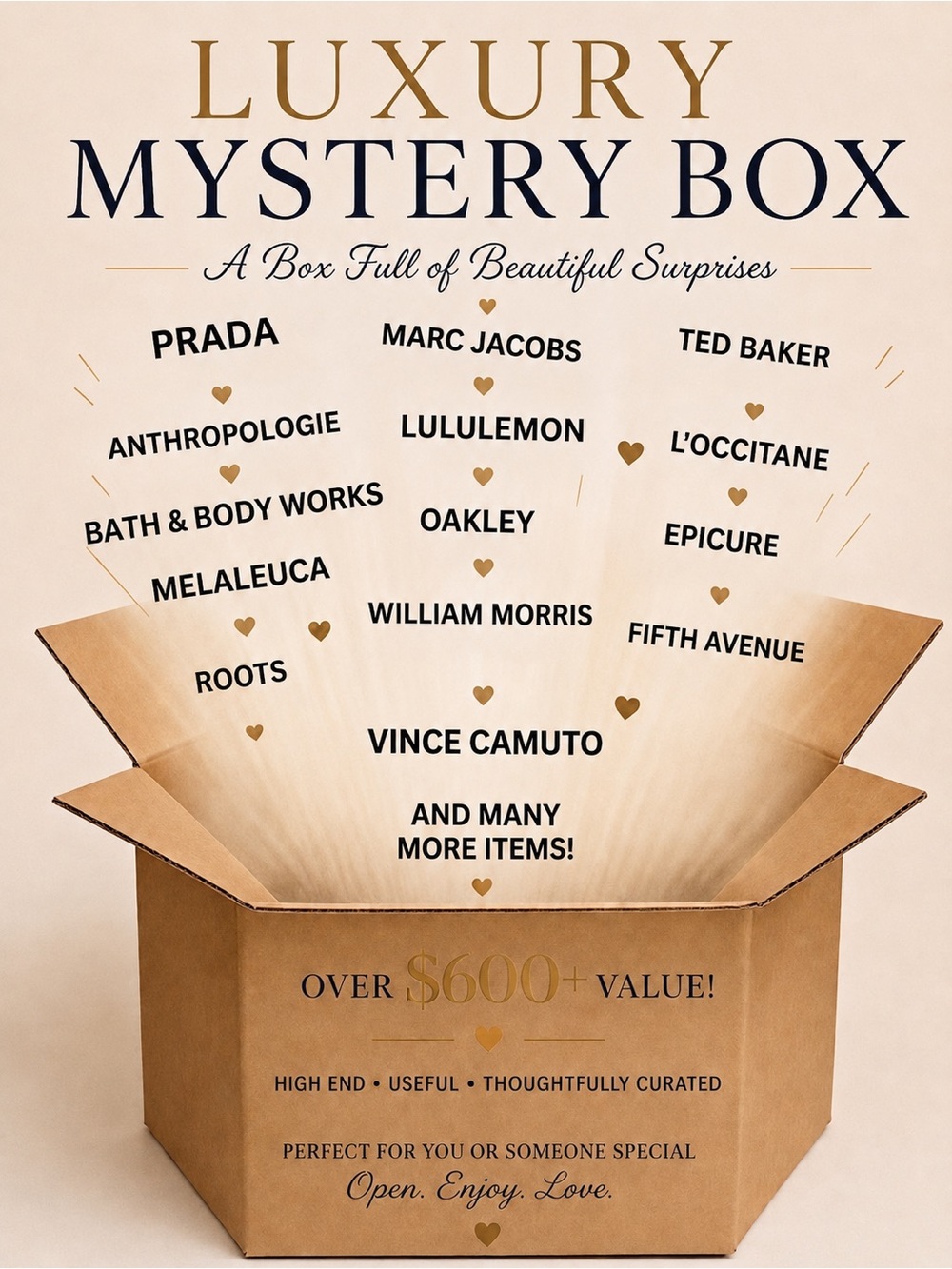 10LB Luxury Mystery Box High End  Premium Brands $600 + Value